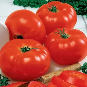 Tomatoes (4 packs)